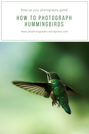 pinterest graphic How to Photograph Hummingbirds